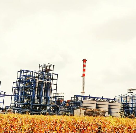 WhatsApp Image 2024-11-26 at 10.39.23 AM