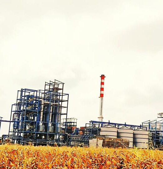 WhatsApp Image 2024-11-26 at 10.39.23 AM