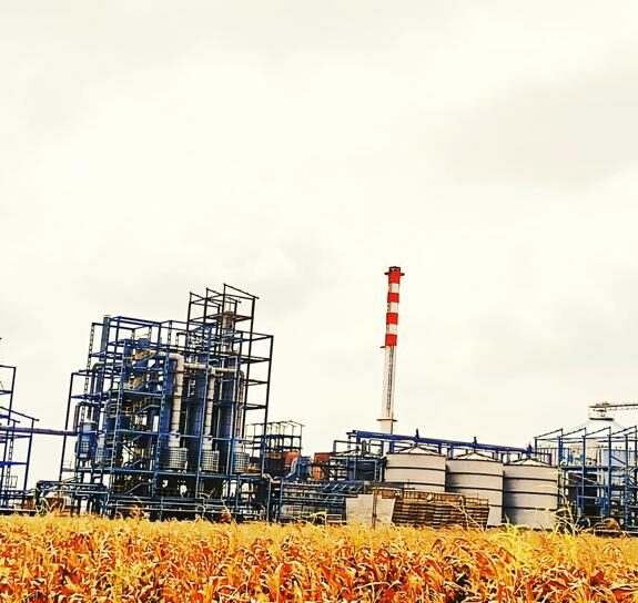 WhatsApp Image 2024-11-26 at 10.39.23 AM