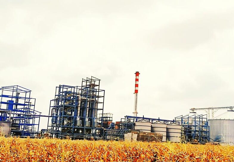 WhatsApp Image 2024-11-26 at 10.39.23 AM